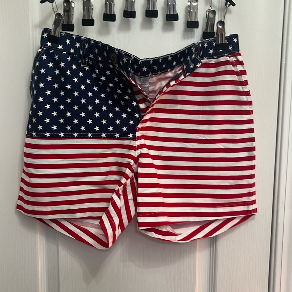 Chubbies Shorts - small